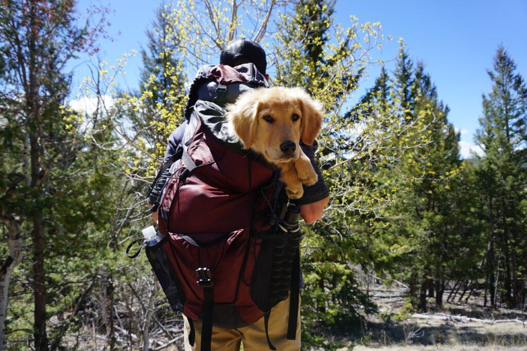 Freizeitaktivität mit Hund