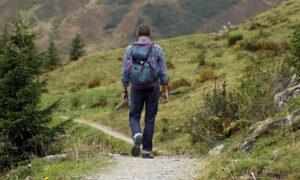 Mehr über den Artikel erfahren Die schönsten Wanderstrecken in Rheinland Pfalz
