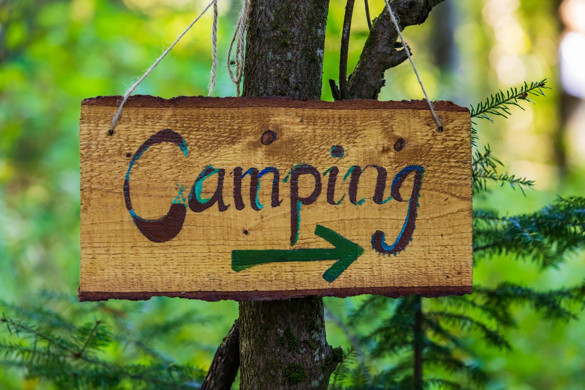 Holzschild mit Camping-Aufschrift und Pfeil im Wald | Elfliq Liquid